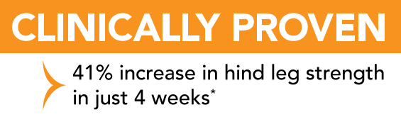 Clinically Proven: 41% increase in hind leg strength in just 4 weeks* Clinically Proven: 41% increase in hind leg strength in just 4 weeks*