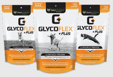 Photo of 3 bags of Glyco Flex Plus